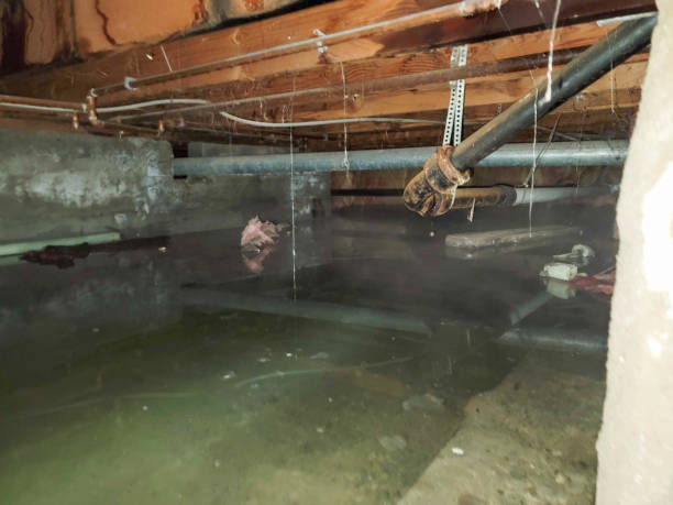 Best Water damage restoration near me  in Seattle, WA