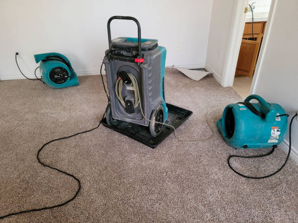 Best Carpet water damage restoration  in Seattle, WA