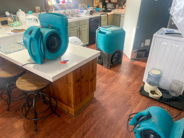 Best Water damage restoration process  in Seattle, WA