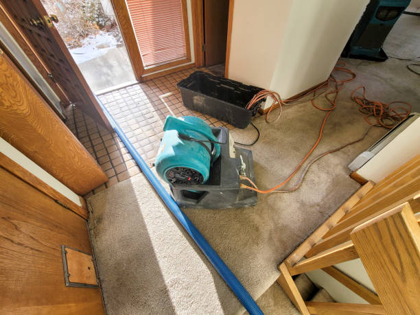 Best 24-hour water damage restoration  in Seattle, WA