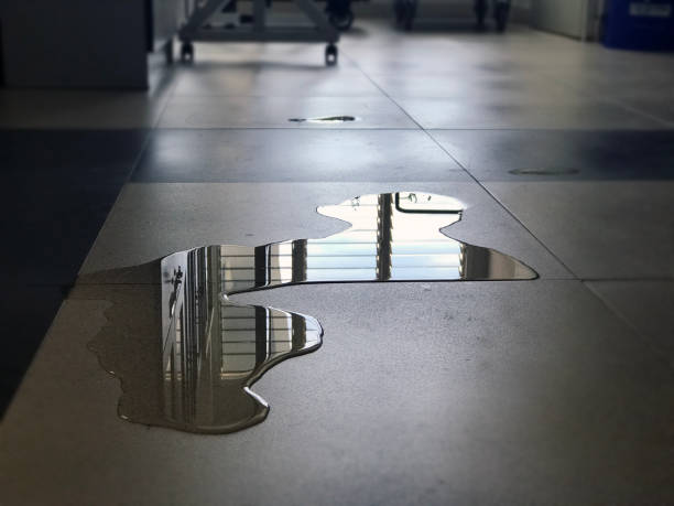 Best Ceiling water damage repair  in Seattle, WA