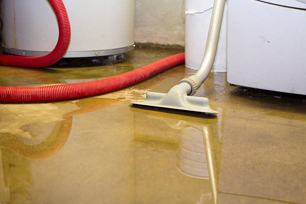 Water damage restoration process in Seattle, WA