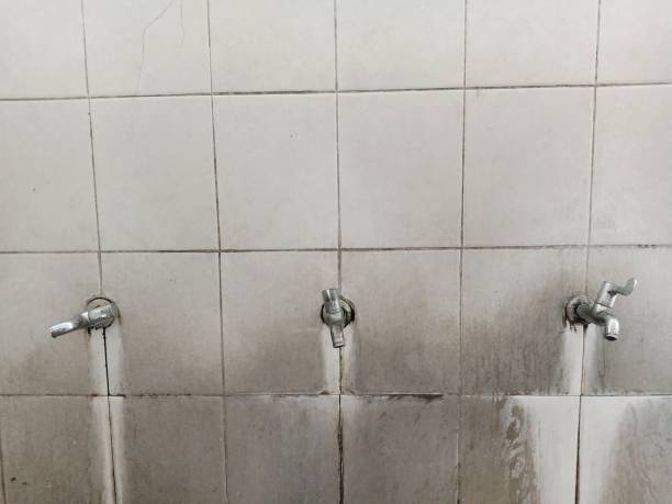 Water damage restoration experts in Seattle, WA