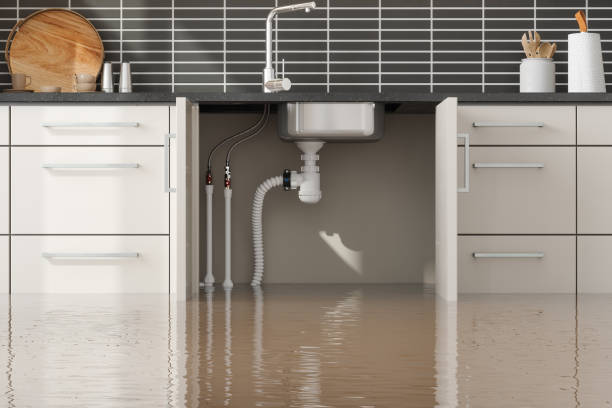 Best Flood restoration services  in Seattle, WA