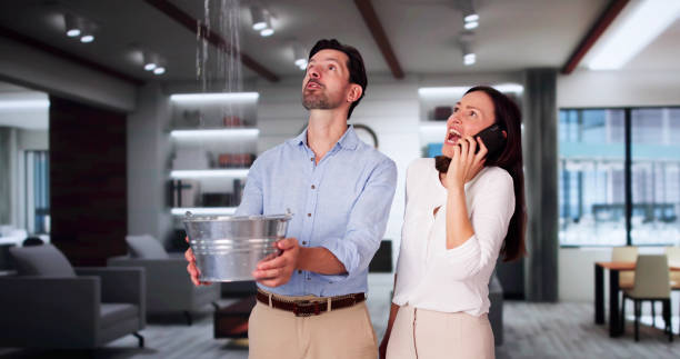 Best Mold removal after water damage  in Seattle, WA